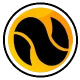 Footer Logo