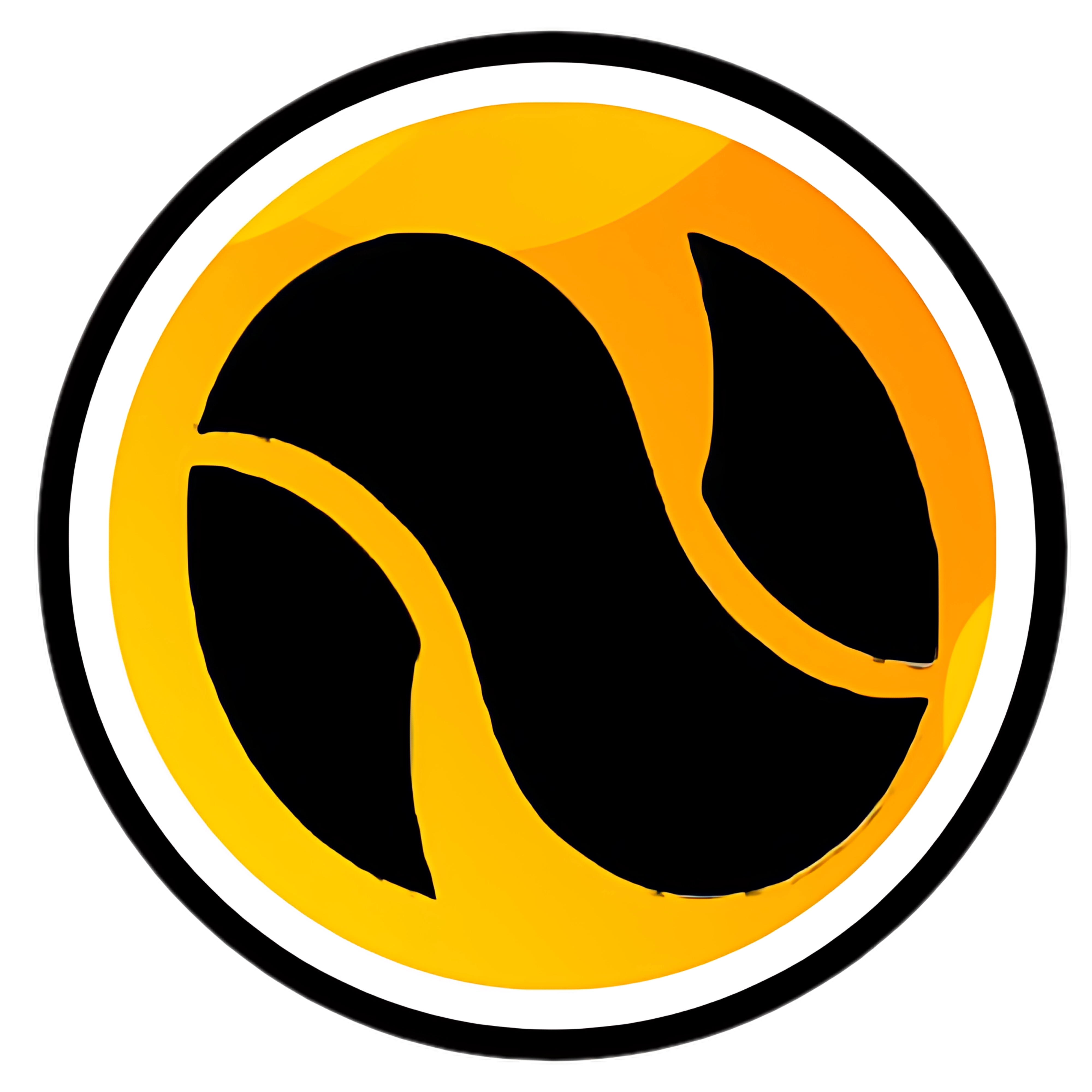 Netfie Circle png Logo