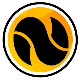 Netfie Logo